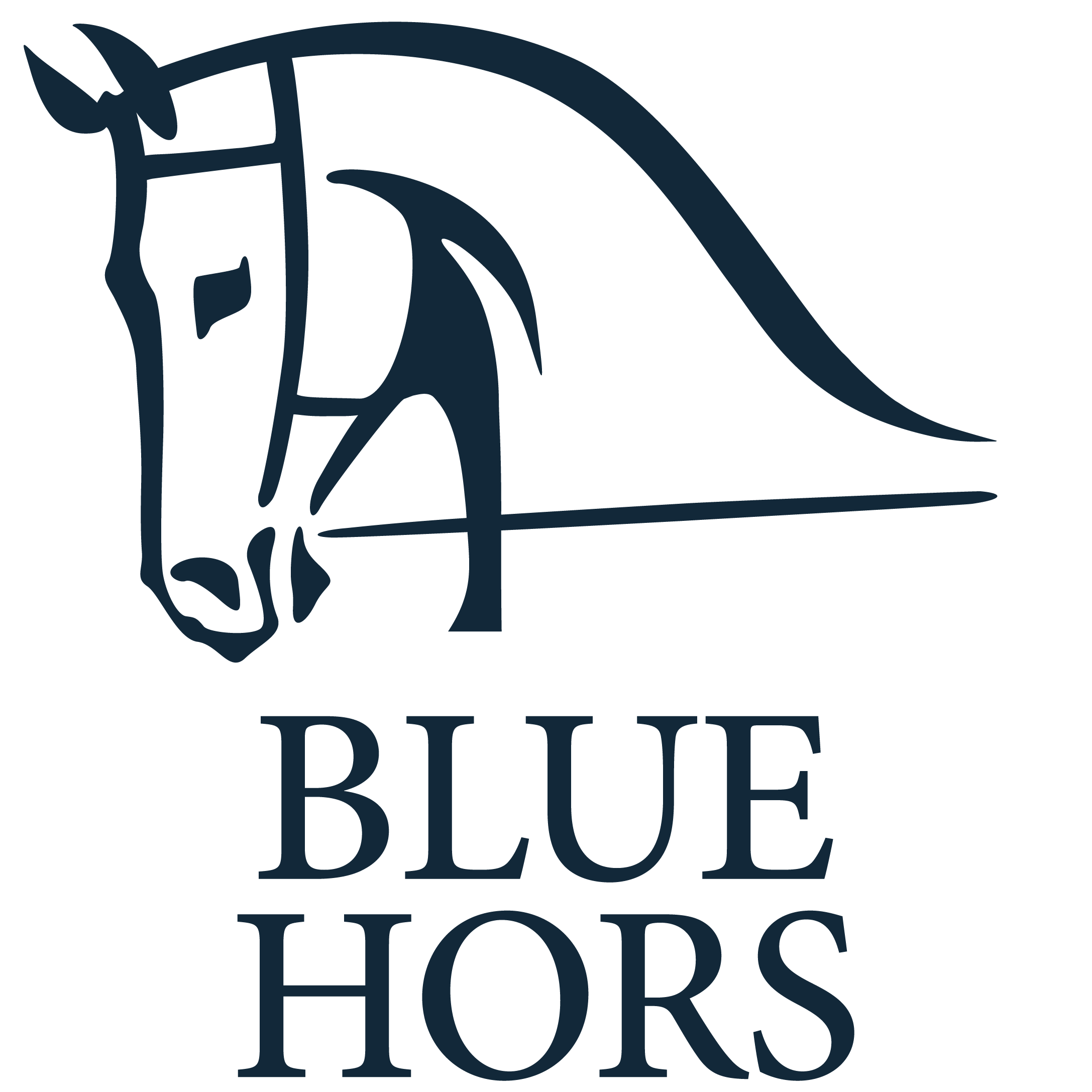 Blue Hors.jpg