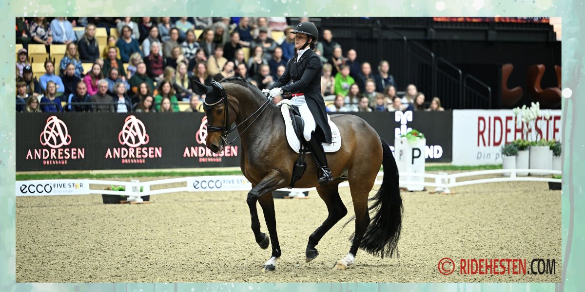 Publikum kan igen nyde at se Cathrine Laudrup-Dufour og MSJ Freestyle i ECCO Five Star Dressage. Foto: Ridehesten.com